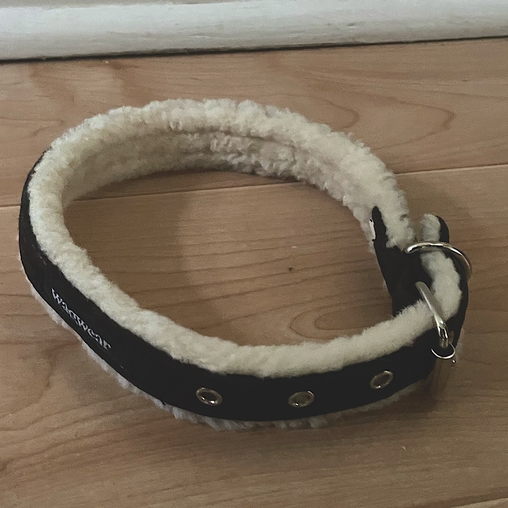 WAGWEAR SUEDE SHEARLING COLLAR